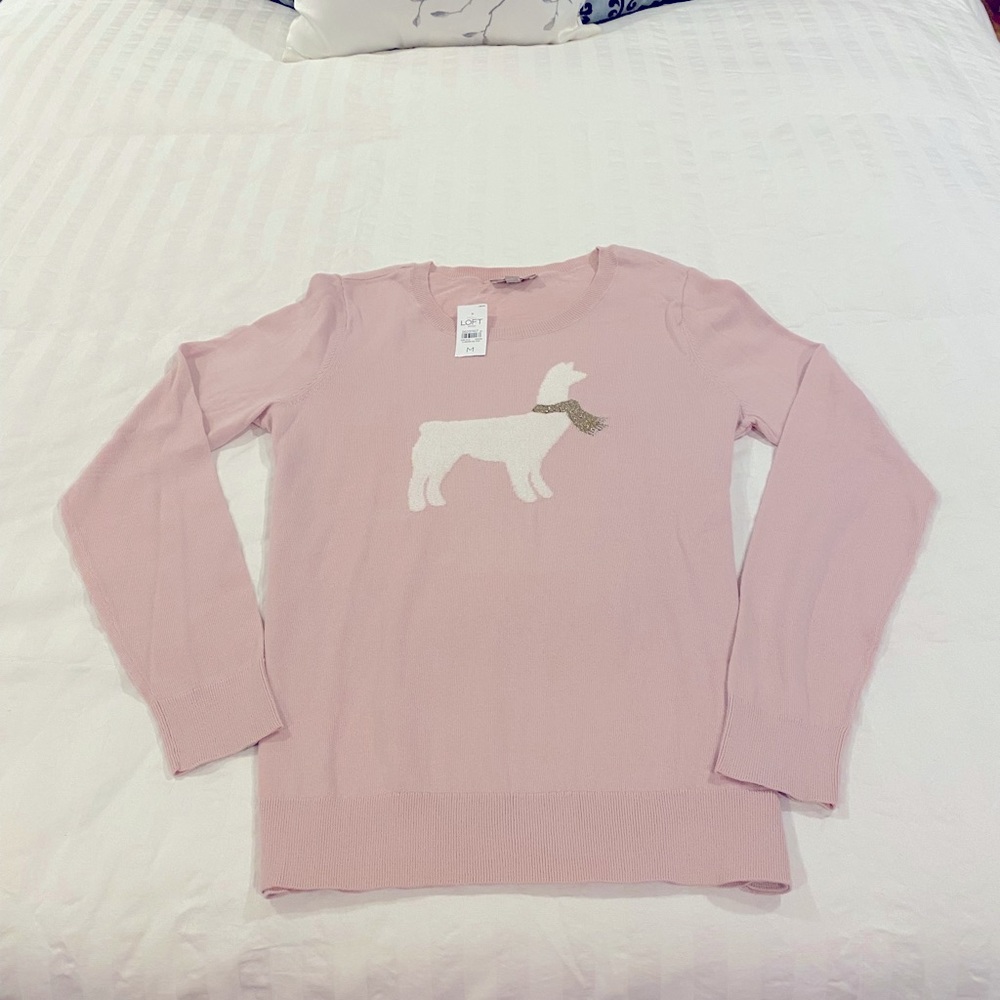 Loft Outlet Pink Sweater